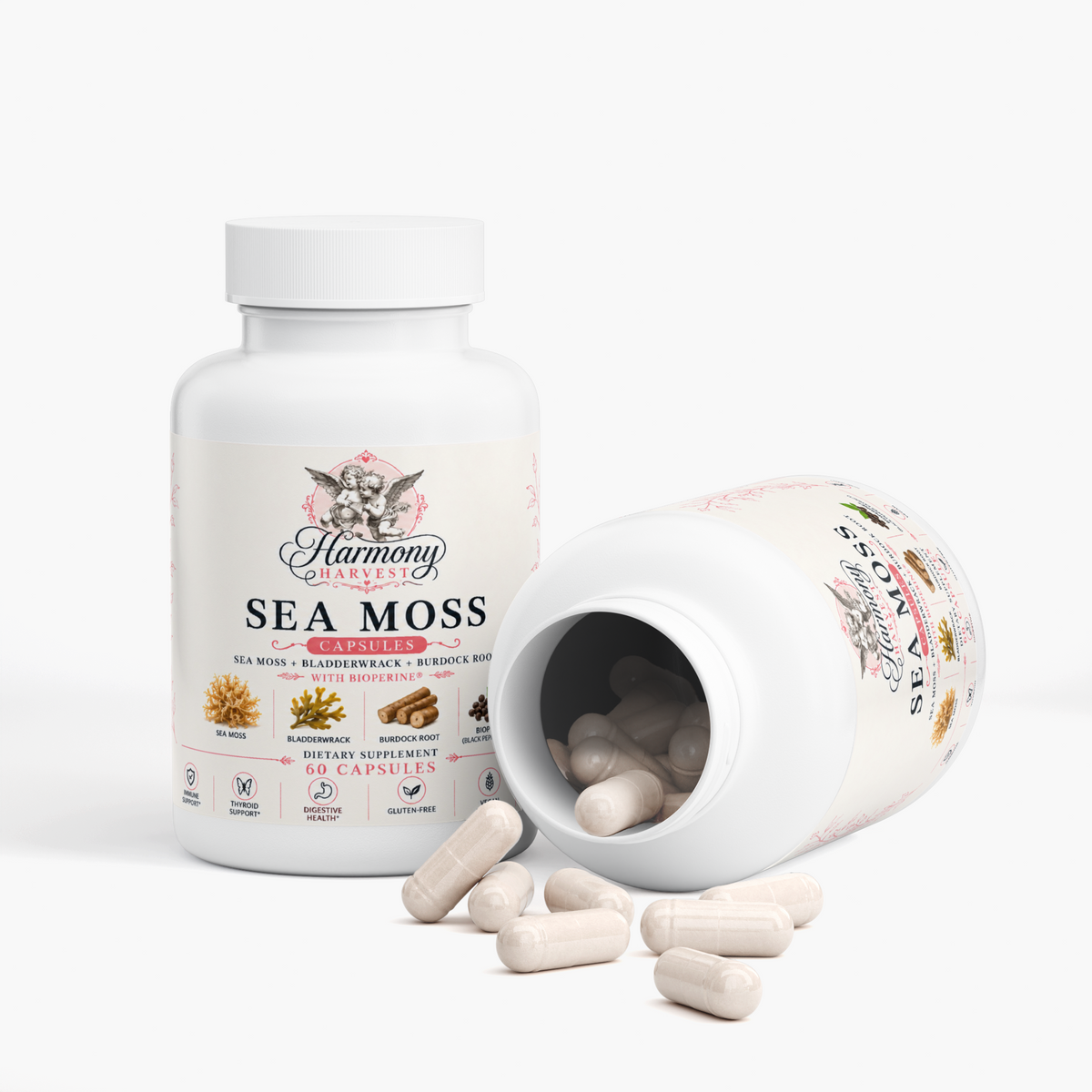 Sea Moss